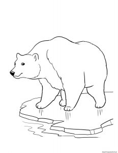 Read more about the article Desenhos de ursos para crianças 05
